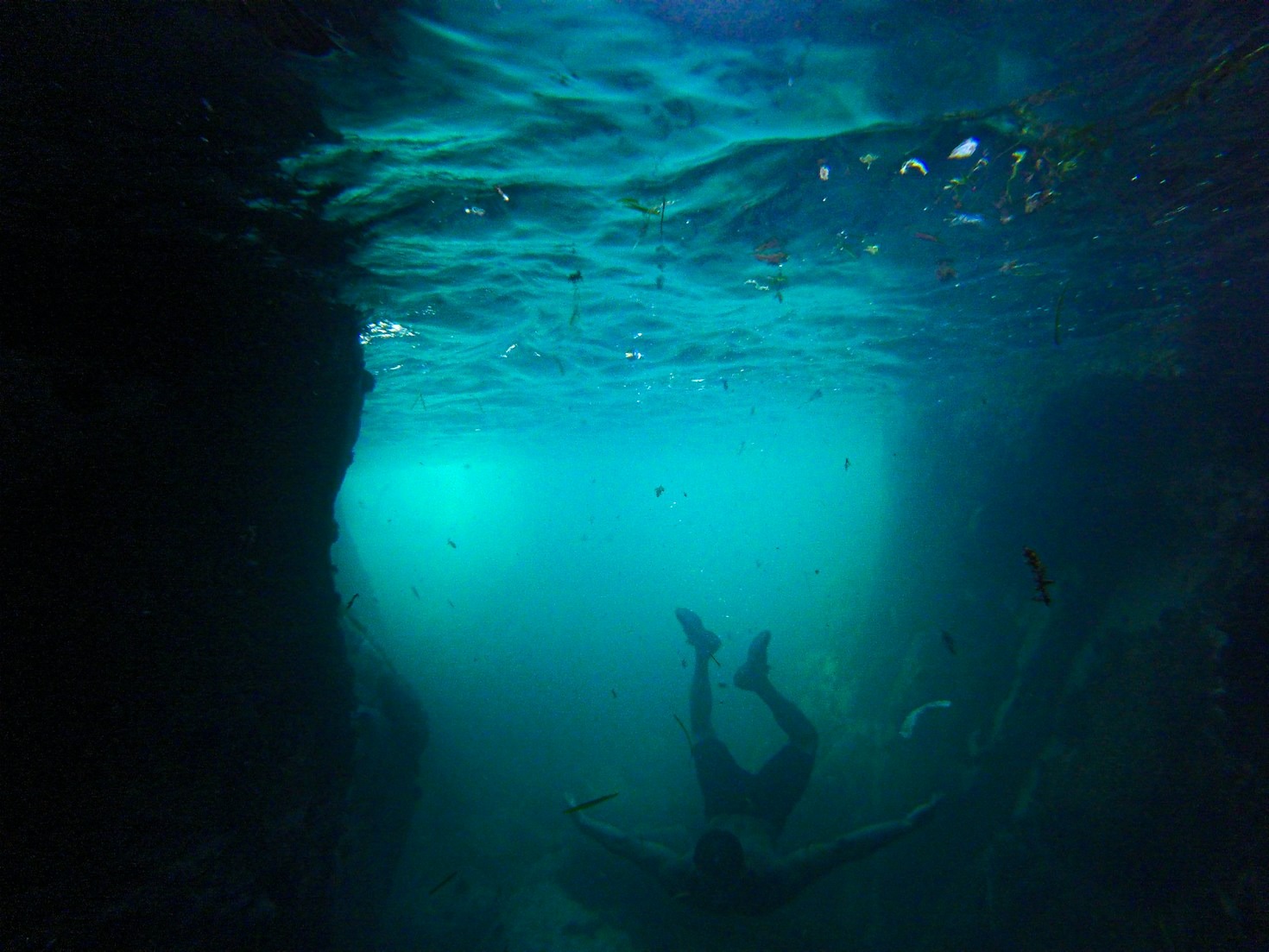 The Role of Underwater Plateaus in Ocean Life