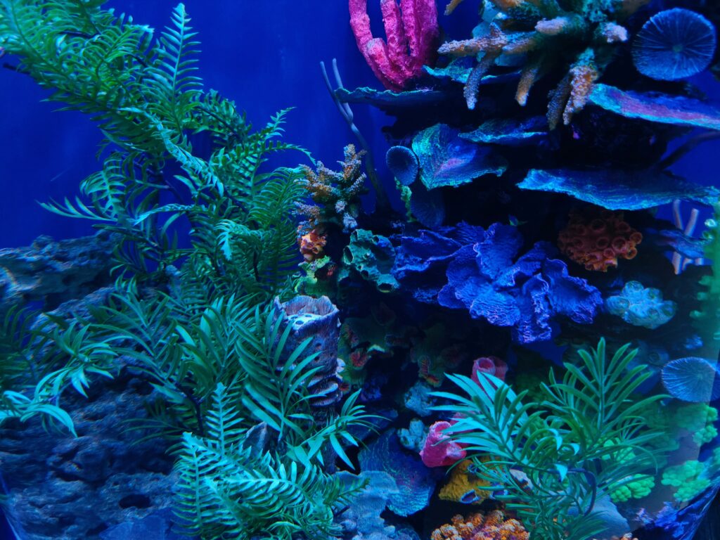 Hello World Featured Image